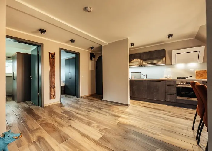 Baude Iii - Loewenbaude